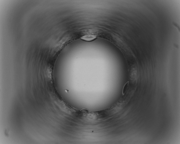 X0000103450282200809191755
