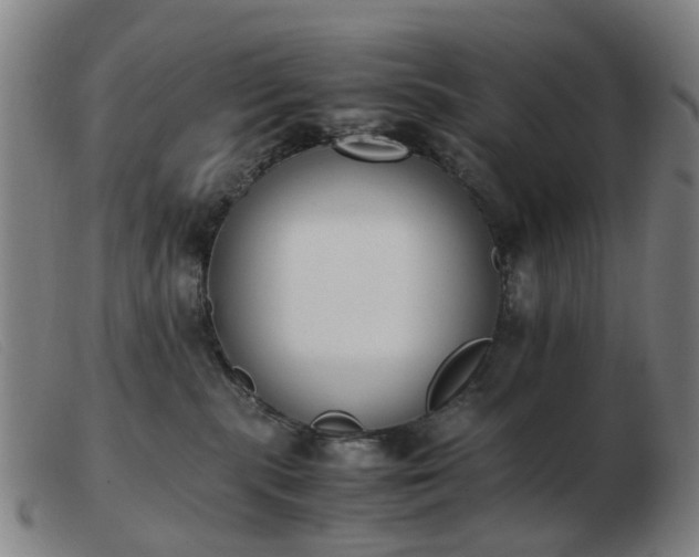X0000103450283200809191755