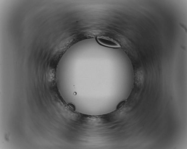 X0000103450284200809191755