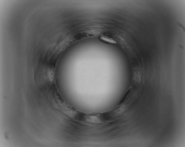 X0000103450285200809191755