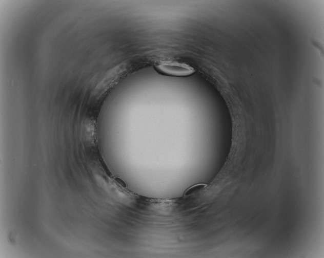 X0000103450288200809191756
