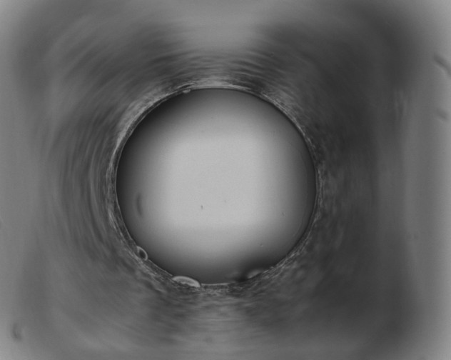 X0000103450289200809191755
