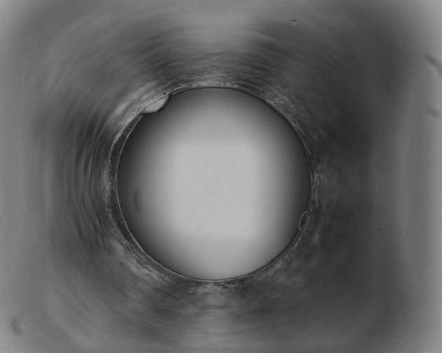 X0000103450290200809191755