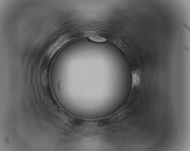X0000103450291200809191755