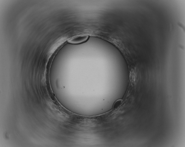 X0000103450292200809191755