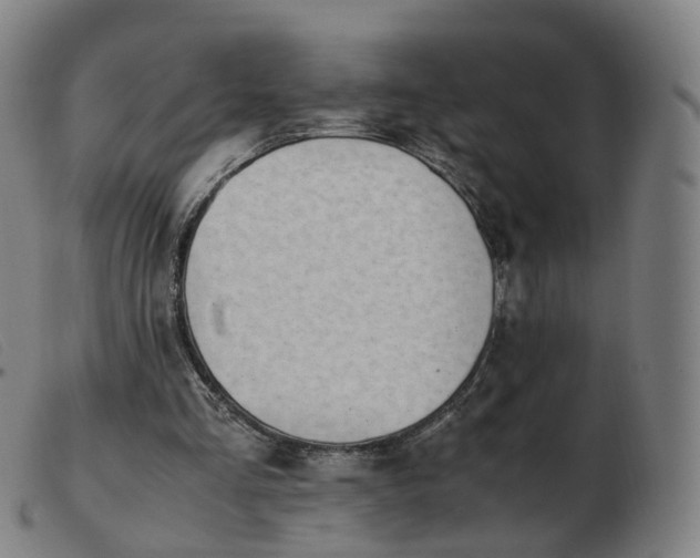 X0000103450293200809191755