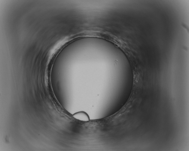 X0000103450294200809191755