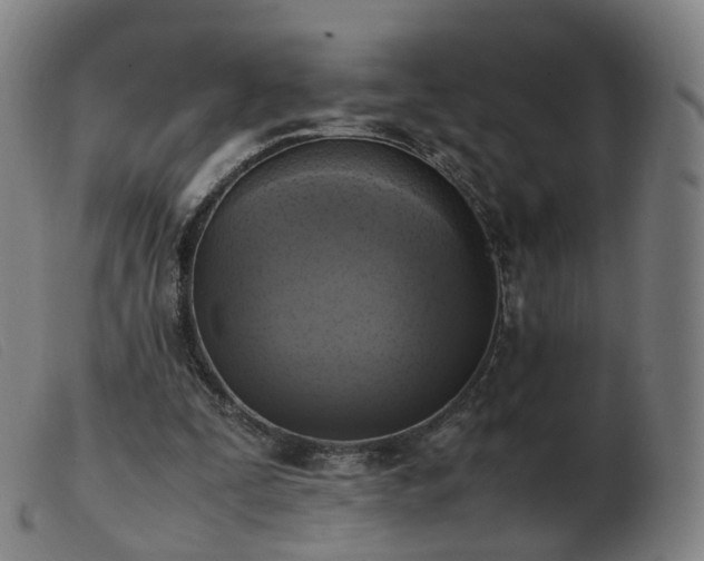 X0000103450295200809191755