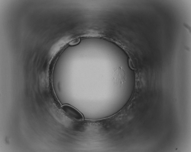 X0000103450296200809191755