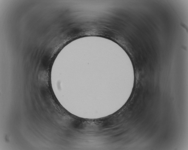 X0000103450297200809191755