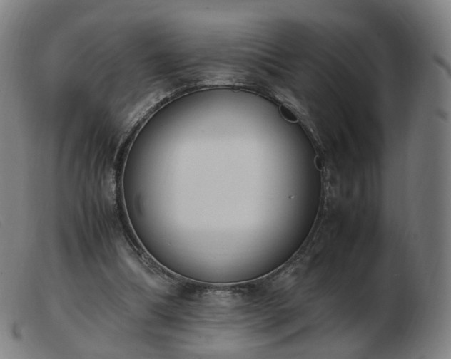 X0000103450298200809191755
