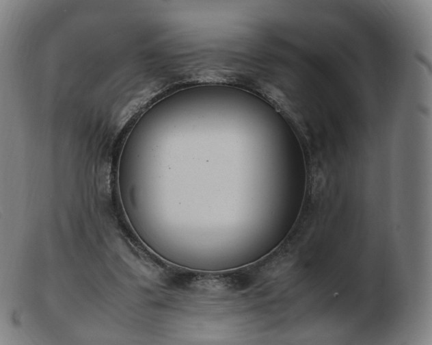 X0000103450299200809191755