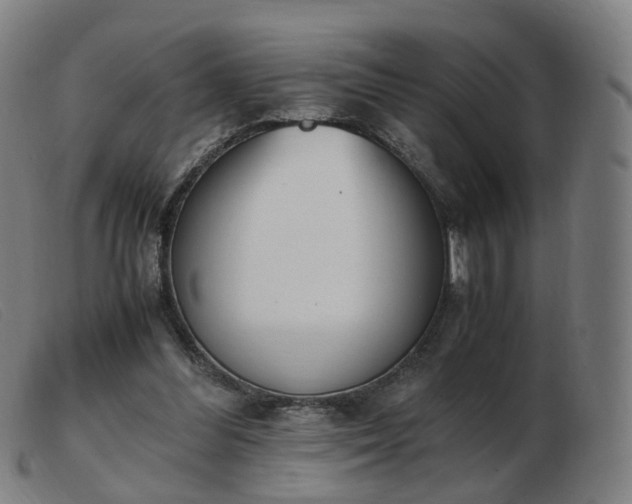 X0000103450300200809191755