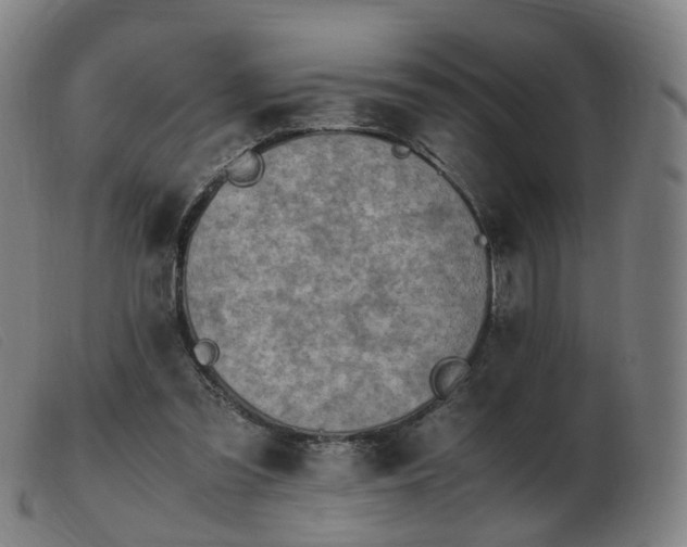 X0000103450301200809191755