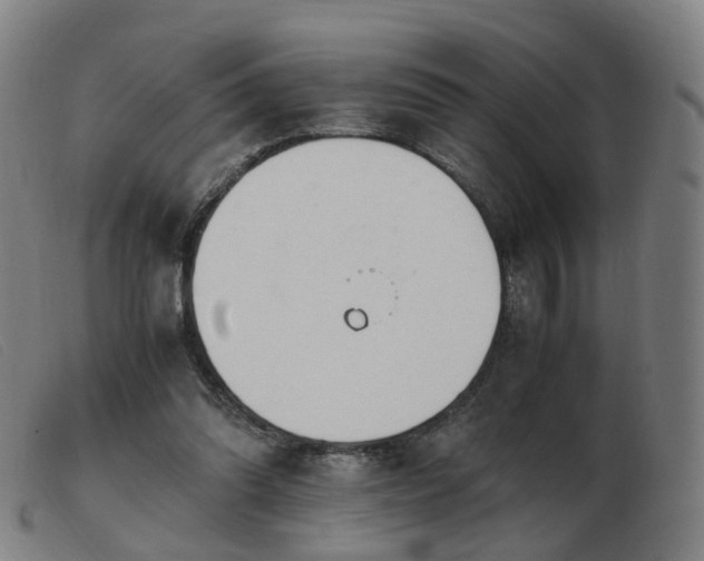X0000103450302200809191755