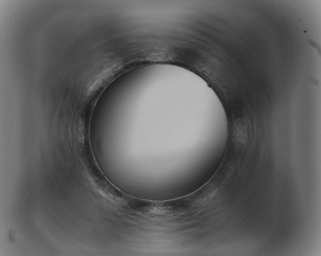 X0000103450303200809191755