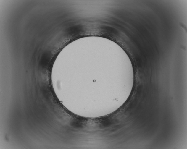 X0000103450305200809191754
