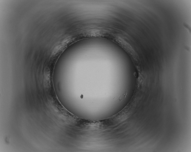 X0000103450306200809191754