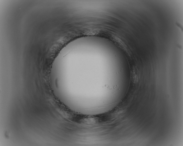 X0000103450307200809191754