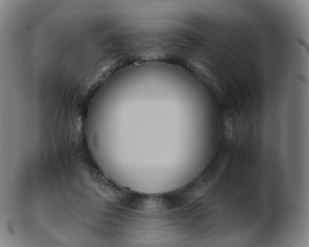 X0000103450308200809191754
