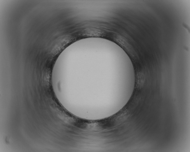 X0000103450309200809191754
