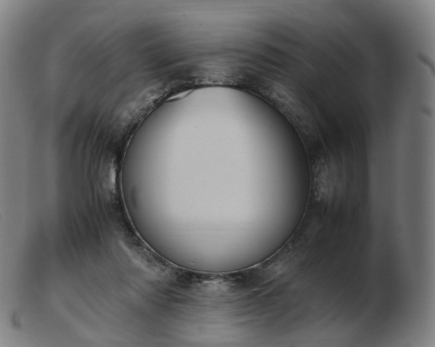 X0000103450310200809191754