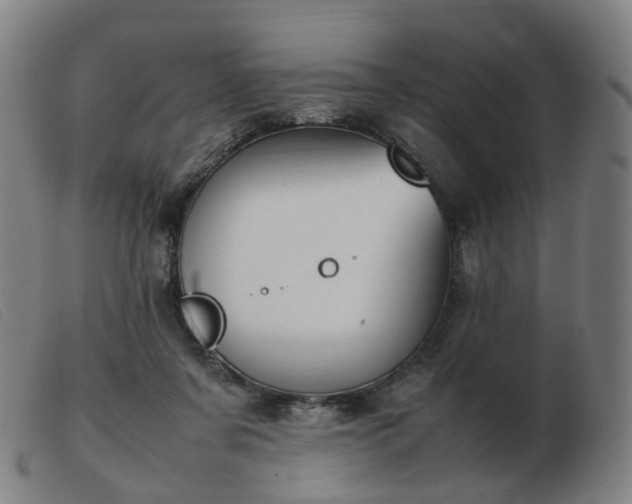 X0000103450311200809191754