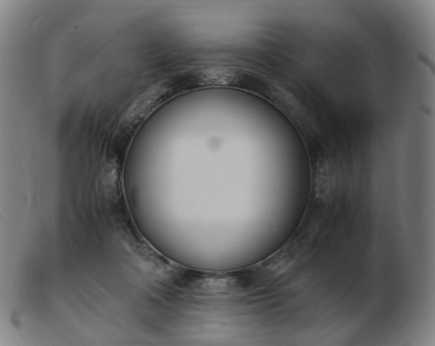 X0000103450314200809191754