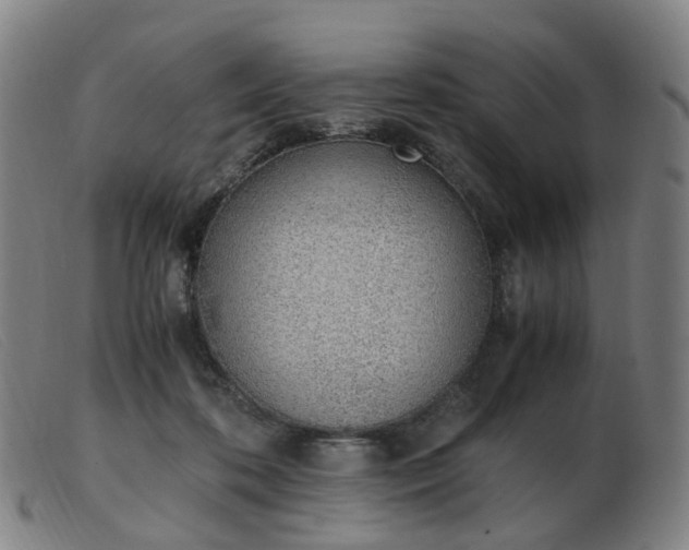 X0000103450316200809191754