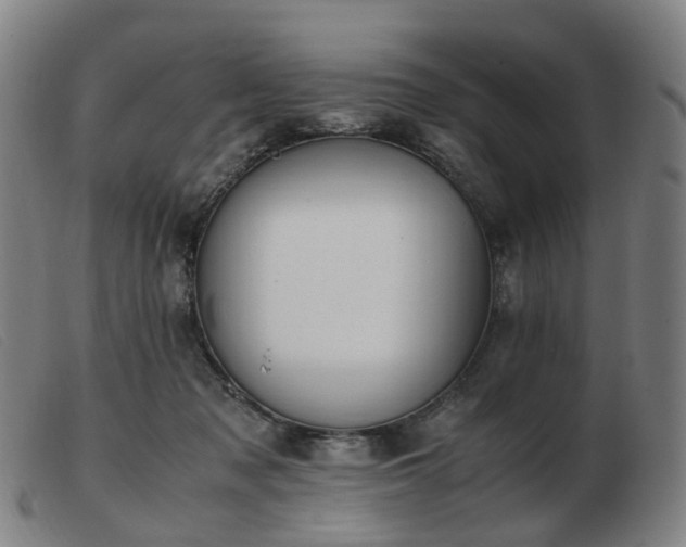 X0000103450317200809191754