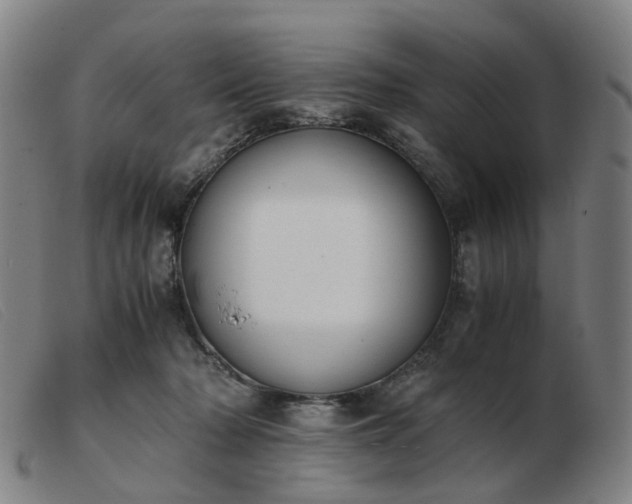 X0000103450318200809191754