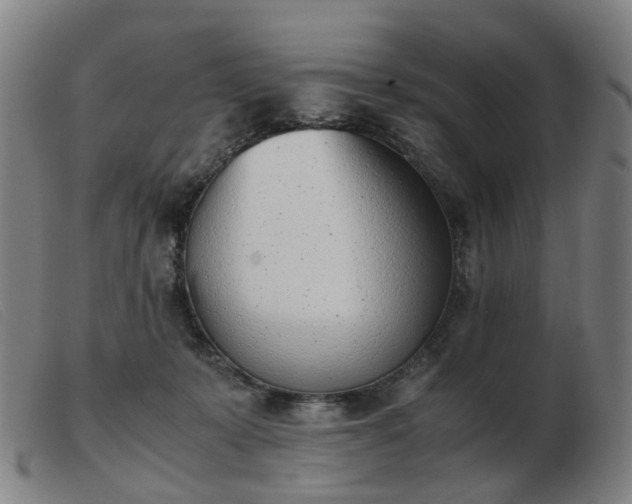 X0000103450319200809191754