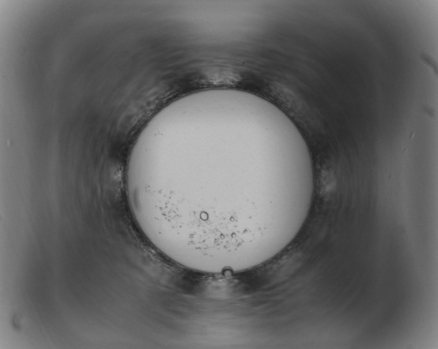 X0000103450321200809191754