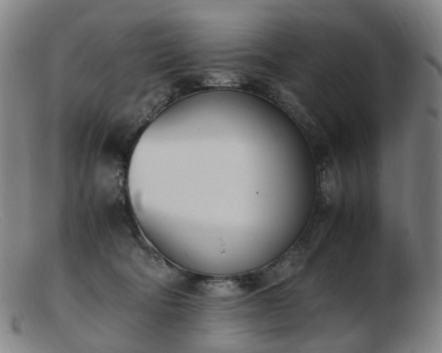 X0000103450322200809191754