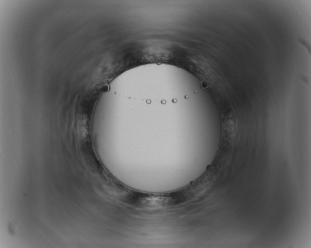 X0000103450323200809191754