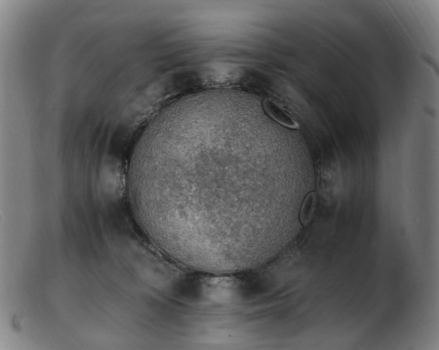 X0000103450324200809191754