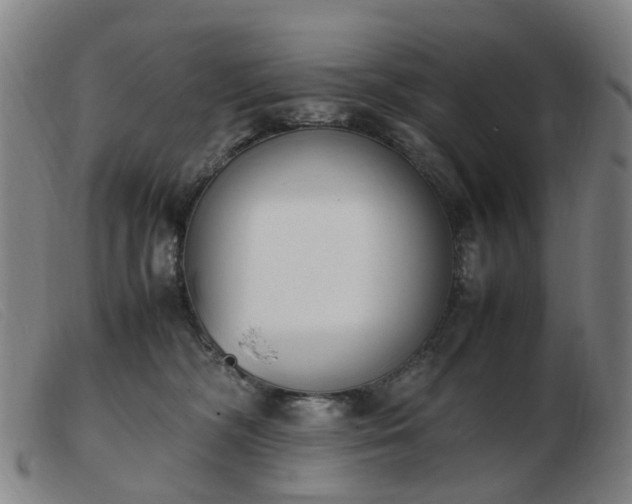 X0000103450326200809191754
