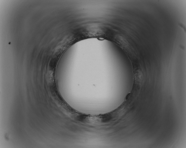X0000103450327200809191754