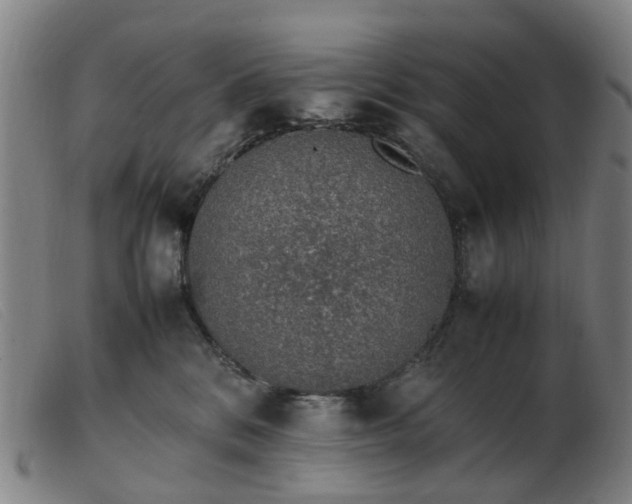 X0000103450328200809191754