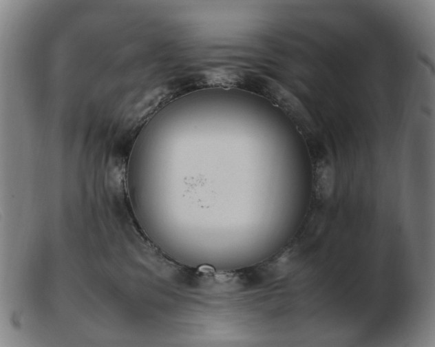 X0000103450329200809191754