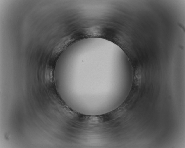 X0000103450330200809191754
