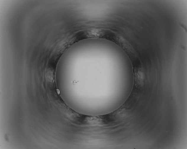 X0000103450331200809191754