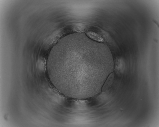 X0000103450332200809191754