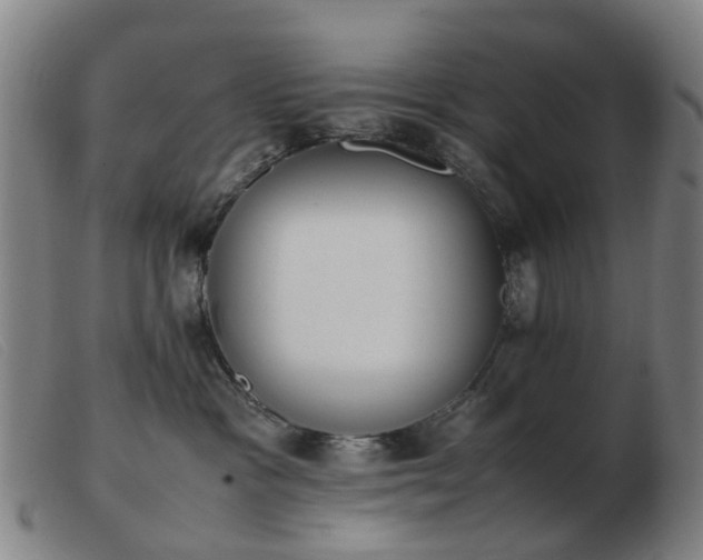 X0000103450333200809191754