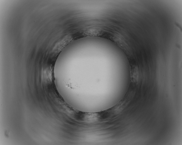 X0000103450334200809191754