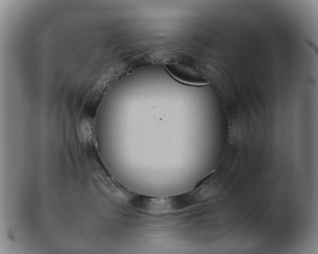 X0000103450335200809191754