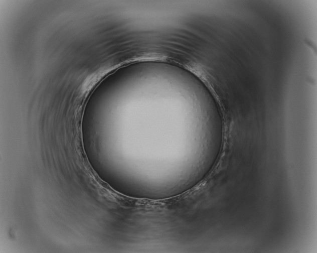 X0000103450337200809191753