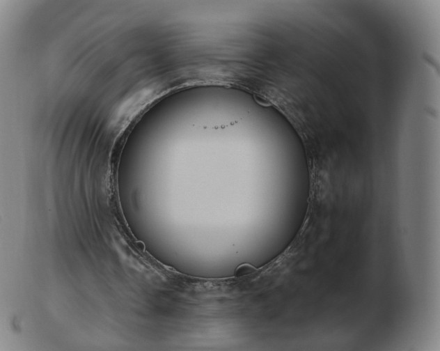 X0000103450338200809191753