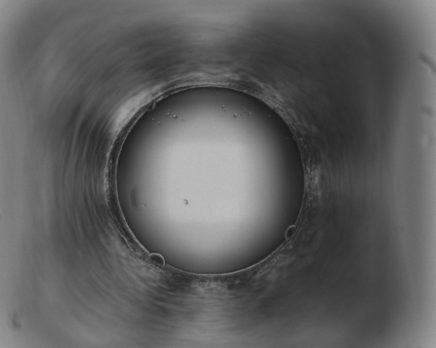 X0000103450340200809191753