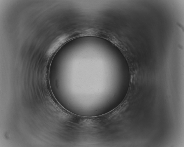 X0000103450341200809191753